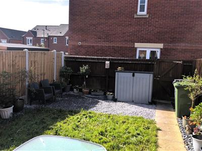 Picture 13